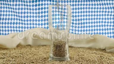 示范高品质啤酒原料-麦芽，麦芽被倒入一个啤酒杯，站在一个桌子上，与